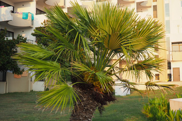 Similar image 22699128