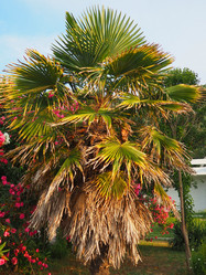 Similar image 22699486