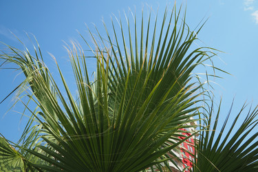 Similar image 22699623