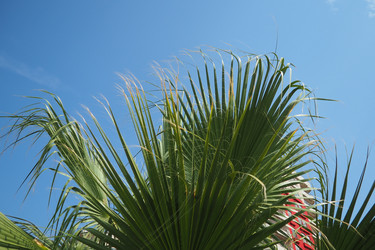 Similar image 22699743