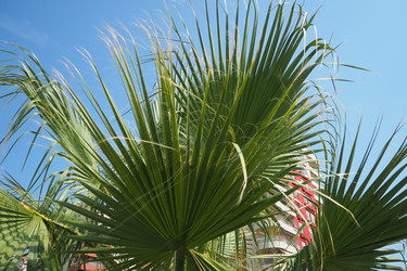 Similar image 22699865