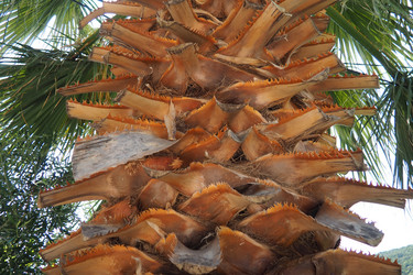 Similar image 22700495