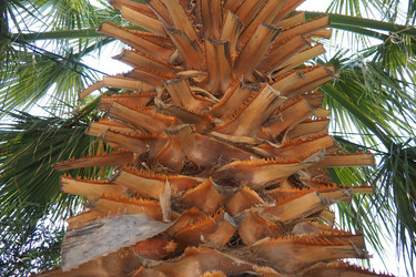 Similar image 22700616