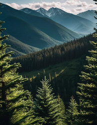 Similar image 22700901