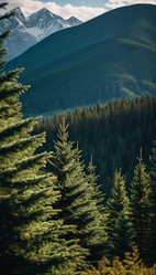 Similar image 22706984