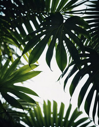 Similar image 22684113