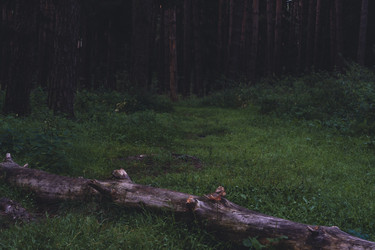 Similar image 22668865