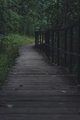 Similar image 22724888