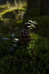 Similar image 22726496
