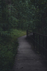 Similar image 22726553