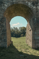 Similar image 22726554