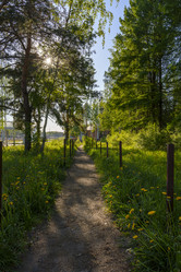 Similar image 22727316