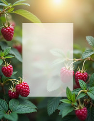 Similar image 22699430