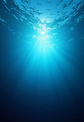 Similar image 22728127
