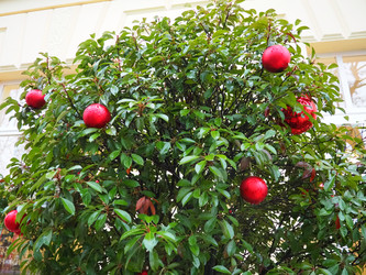 Similar image 22705007