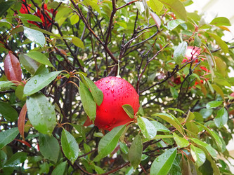 Similar image 22706495