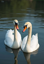 Similar image 22683916