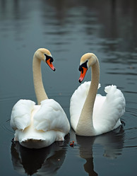 Similar image 22685697
