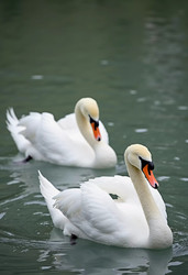Similar image 22697406