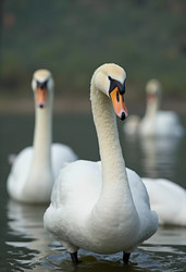 Similar image 22697660