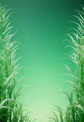 Similar image 22706106