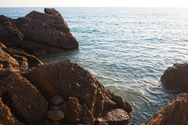 Similar image 22705100