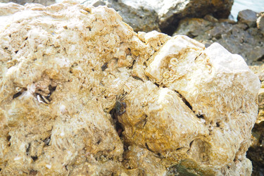 Similar image 22703584