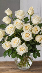 Similar image 22704300
