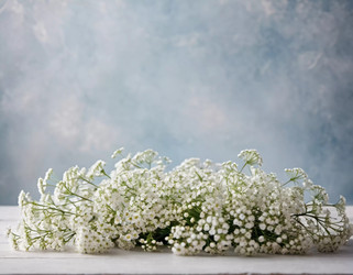 Similar image 22705040