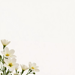 Similar image 22706001