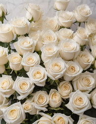 Similar image 22676731