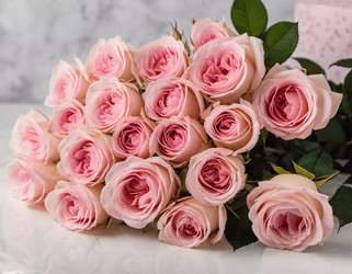 Similar image 22686508