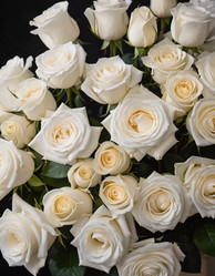 Similar image 22698282