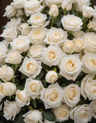Similar image 22699001
