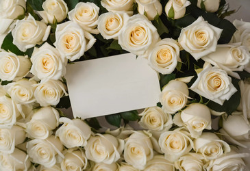 Similar image 22685998