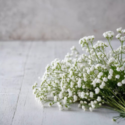 Similar image 22704079