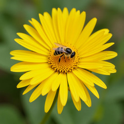 Similar image 22705184