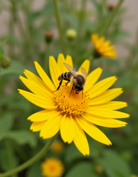 Similar image 22706009