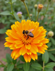 Similar image 22707240