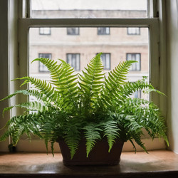 Similar image 22707507