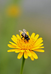 Similar image 22727814