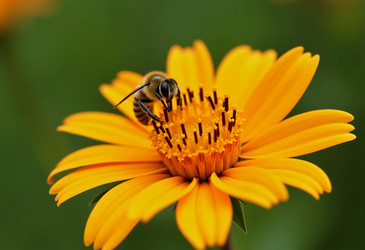 Similar image 22728170