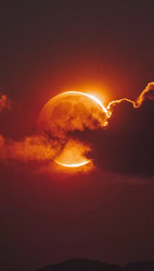 Similar image 22698069