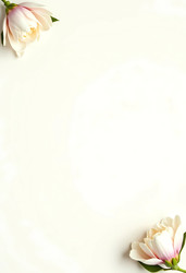 Similar image 22703405