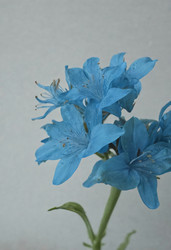 Similar image 22727846