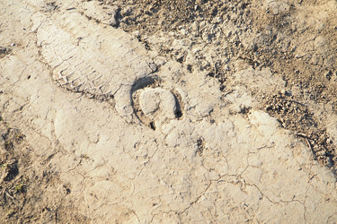 Similar image 22697620