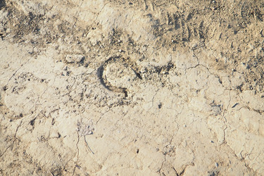 Similar image 22697742