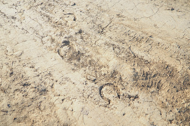 Similar image 22697862