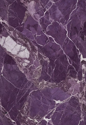 Similar image 22700232