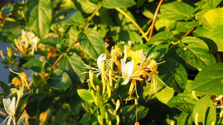 Similar image 22702704